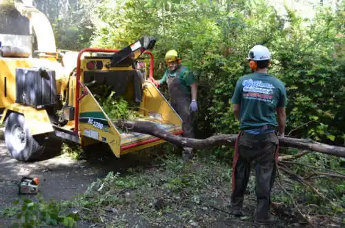 tree services Prairie du Rocher